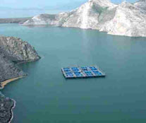 Raising of fish seed in cages - image1