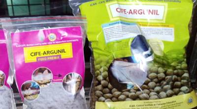 Image of CIFE-Argunil