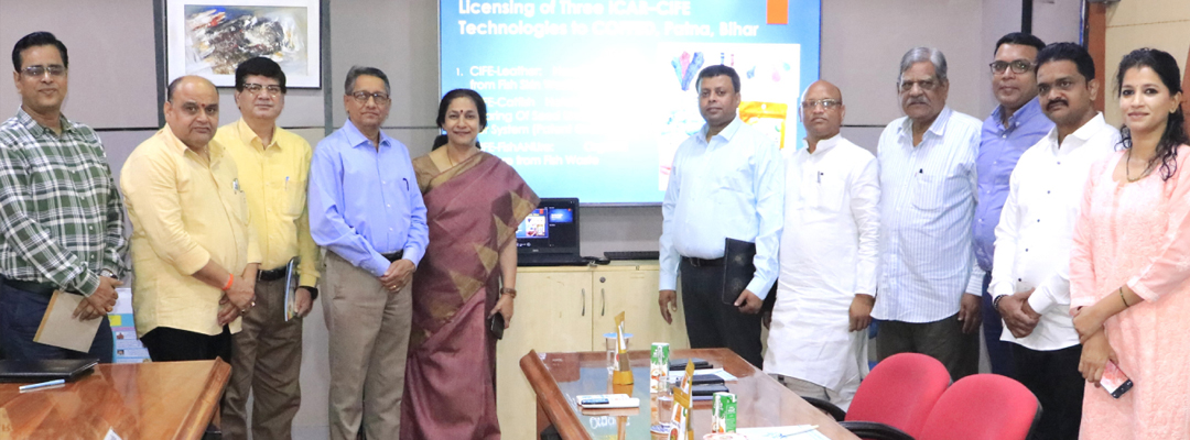 Catfish Hatchery Technology Licensing to COFFED, Bihar