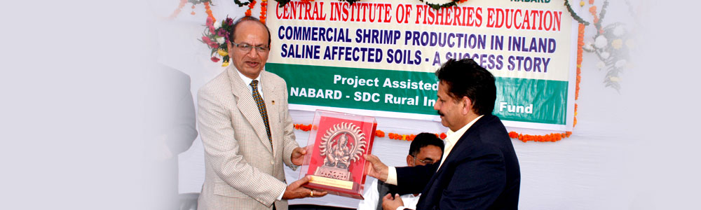 Rohtak Centre Banner 3