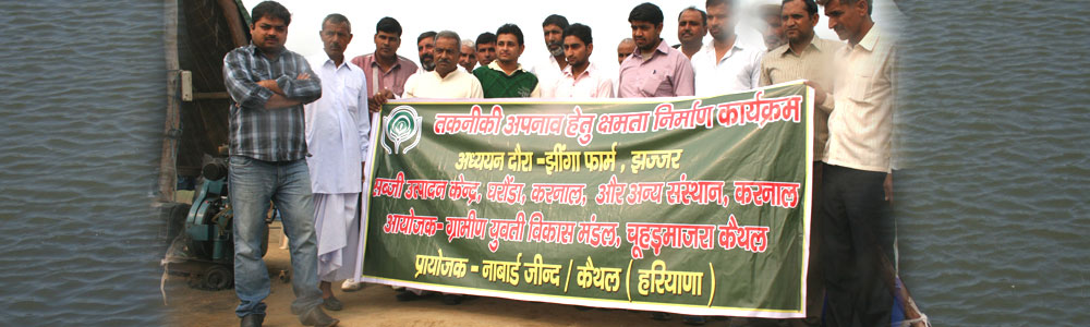 Rohtak Centre Banner4