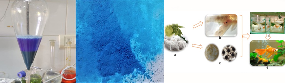 Aquatic Animal Health Management.