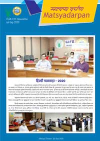 image of Newsletter July-sept 2020