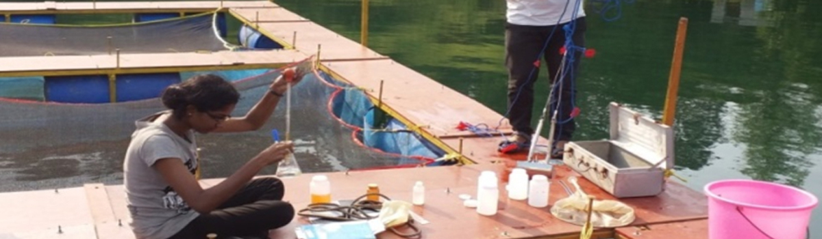 Waki reservoir Cage Culture