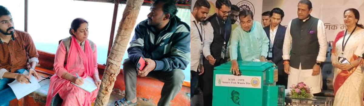 Fisheries Economics, Extension & Statistics Division