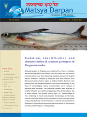 image of Newsletter March 2012