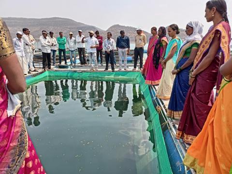 On farm demonstration at cage culture unit in Dimbhe reservoir
