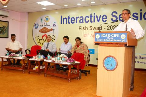 Fish Festival FISHSWAD Image 1