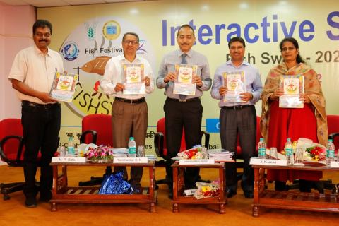 Fish Festival FISHSWAD Image 2