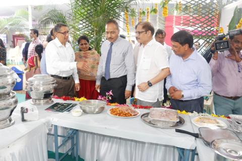 Fish Festival FISHSWAD Image 5