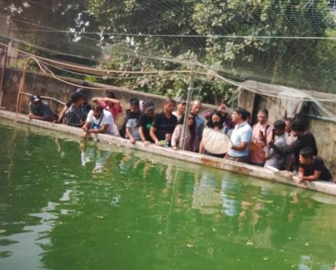 image of सजावटी मछली प्रजनन और पालन पर किसान image 1