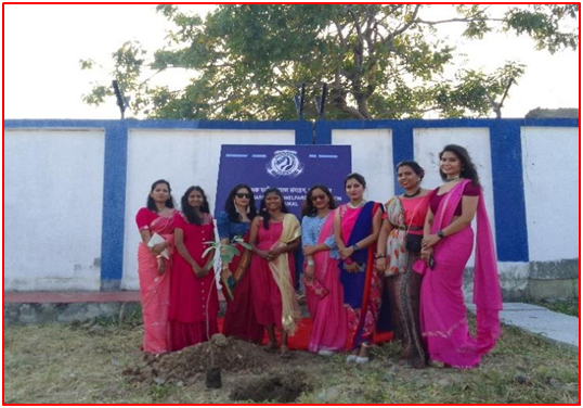 Image1 of Tree Plantation
