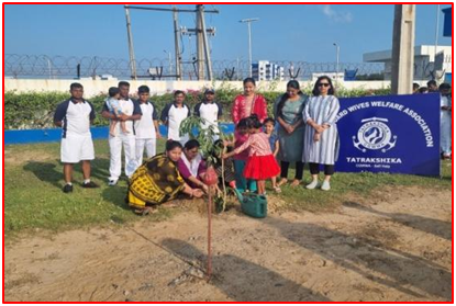 Image1 of Tree Plantation