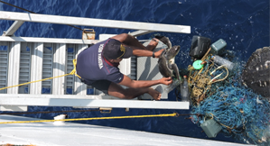 Image of Rescuing of Olive Ridley Turtle by Coast Guard Personnel
