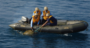 image of Rescuing of Olive Ridley Turtle by Coast Guard Personnel
