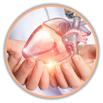 हृदय वक्षवाहिका और संवहनी शल्‍य चिकित्‍सा विभाग